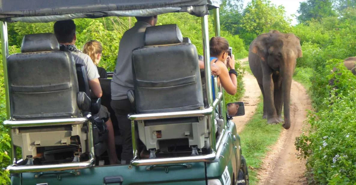 Wildlife & Safari Package